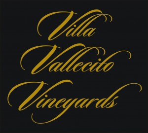 Villa Vallecito logo type GOLD on black-1
