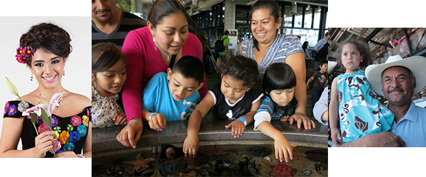 Monterey Bay Aquarium Celebrates Día del Niño