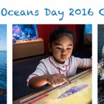 World Oceans Day at the Monterey Bay Aquarium & Giveaway