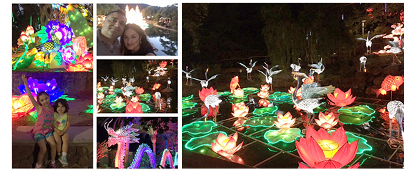 Lumination at Gilroy Gardens