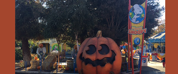 Great America Presents The Great Pumpkin Fest