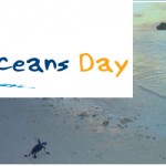 Celebrating World Oceans Day