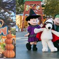 PumpkinFestMain