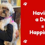 Having a Dog = Happiness