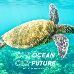 World Oceans Day 2021: 4 ways you can make a difference